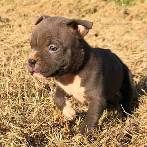 Meet your Posher, Robert